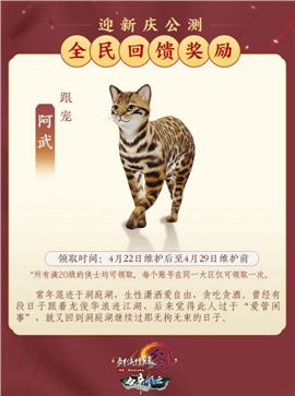 冰点天龙八部私服